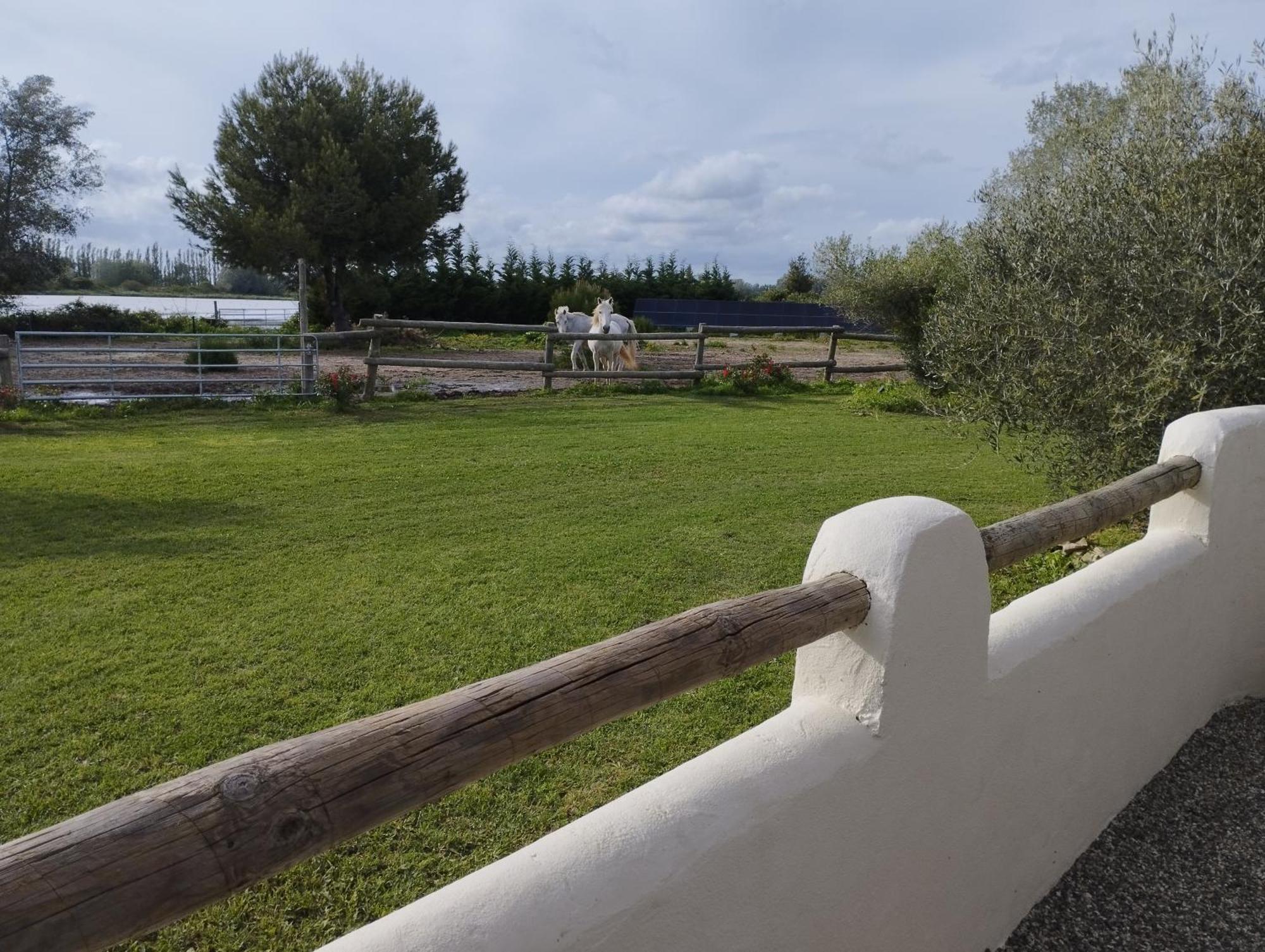 Le Gite De Pandore Arles Exterior foto
